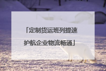 定制货运班列提速 护航企业物流畅通