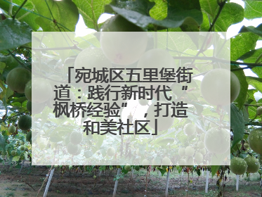 宛城区五里堡街道：践行新时代“枫桥经验”，打造和美社区