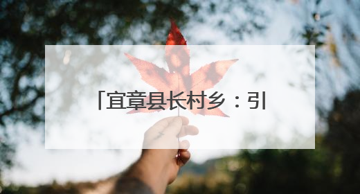 宜章县长村乡：引进玉竹种植 激活乡村振兴新动能