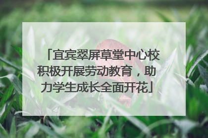 宜宾翠屏草堂中心校积极开展劳动教育，助力学生成长全面开花