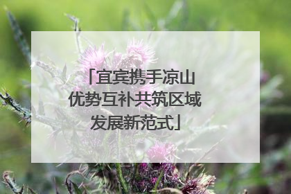 宜宾携手凉山 优势互补共筑区域发展新范式