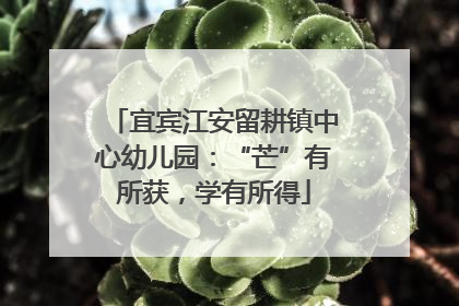 宜宾江安留耕镇中心幼儿园：“芒”有所获，学有所得