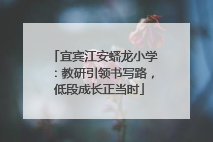 宜宾江安蟠龙小学：教研引领书写路，低段成长正当时