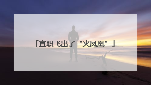 宜职飞出了“火凤凰”