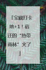 宝藏打卡地+1！宿迁的“热带雨林”火了