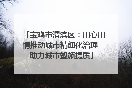 宝鸡市渭滨区：用心用情推动城市精细化治理 助力城市塑颜提质