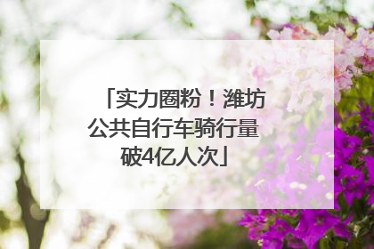 实力圈粉！潍坊公共自行车骑行量破4亿人次