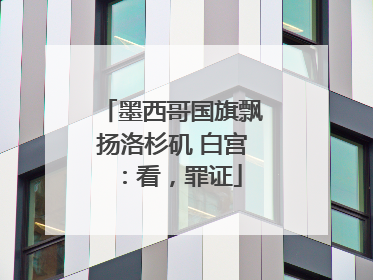 墨西哥国旗飘扬洛杉矶 白宫：看，罪证