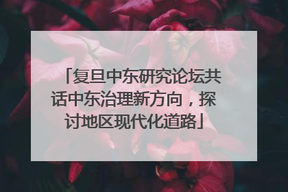 复旦中东研究论坛共话中东治理新方向，探讨地区现代化道路