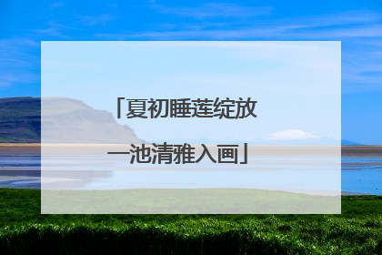 夏初睡莲绽放 一池清雅入画