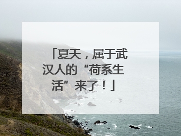 夏天，属于武汉人的“荷系生活”来了！