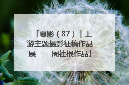 夏影（87）｜上游主题摄影征稿作品展——周社根作品