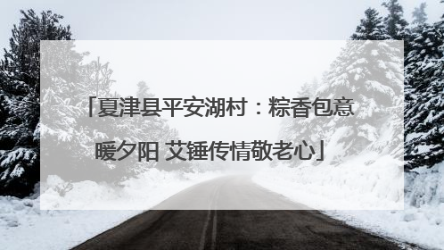 夏津县平安湖村：粽香包意暖夕阳 艾锤传情敬老心