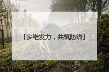 多维发力，共筑防线