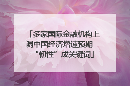 多家国际金融机构上调中国经济增速预期 “韧性”成关键词