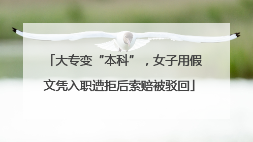 大专变“本科”，女子用假文凭入职遭拒后索赔被驳回
