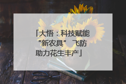 大悟：科技赋能“新农具” 飞防助力花生丰产