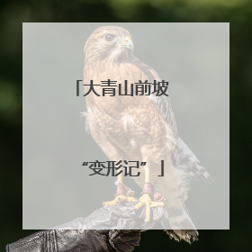 大青山前坡“变形记”