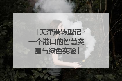 天津港转型记：一个港口的智慧突围与绿色实验