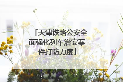 天津铁路公安全面强化列车治安案件打防力度