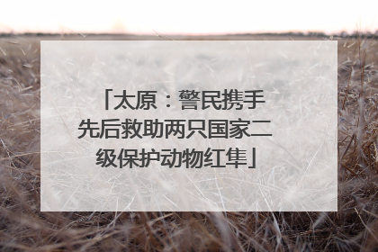 太原：警民携手 先后救助两只国家二级保护动物红隼