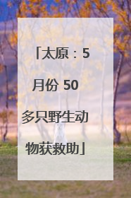 太原：5月份 50多只野生动物获救助