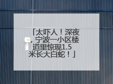 太吓人！深夜，宁波一小区楼道里惊现1.5米长大白蛇！