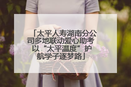 太平人寿湖南分公司多地联动爱心助考 以“太平温度”护航学子逐梦路