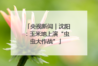 央视新闻｜沈阳：玉米地上演“虫虫大作战”