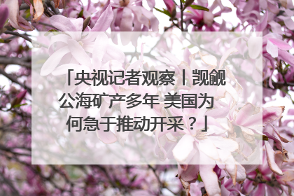 央视记者观察丨觊觎公海矿产多年 美国为何急于推动开采？