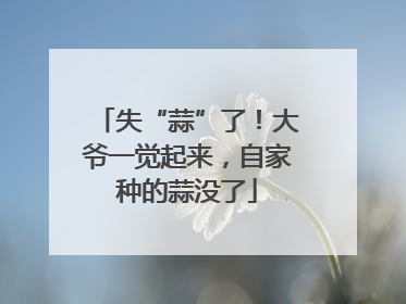 失“蒜”了！大爷一觉起来，自家种的蒜没了