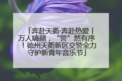 奔赴天衢·奔赴热爱丨万人嗨翻，“警”然有序！德州天衢新区交警全力守护新青年音乐节