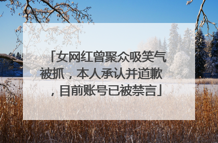 女网红曾聚众吸笑气被抓，本人承认并道歉，目前账号已被禁言