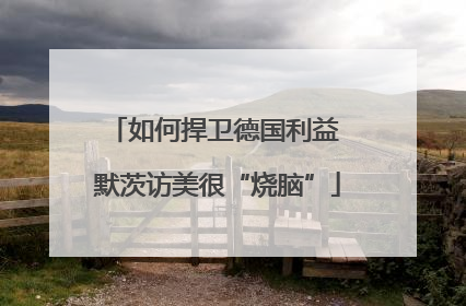 如何捍卫德国利益 默茨访美很“烧脑”