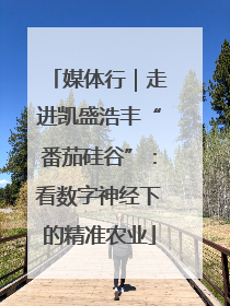 媒体行｜走进凯盛浩丰“番茄硅谷”：看数字神经下的精准农业