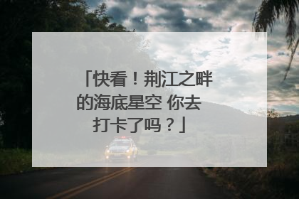 快看！荆江之畔的海底星空 你去打卡了吗？