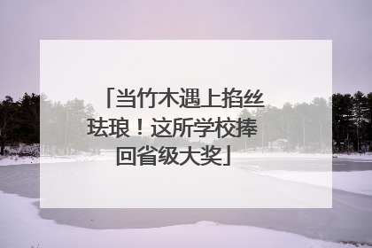 当竹木遇上掐丝珐琅！这所学校捧回省级大奖