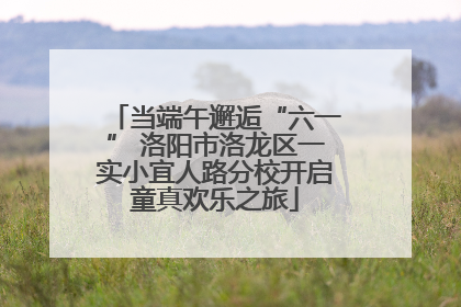 当端午邂逅“六一” 洛阳市洛龙区一实小宜人路分校开启童真欢乐之旅