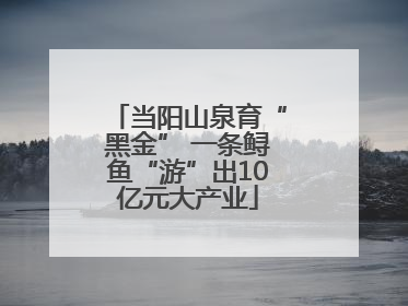 当阳山泉育“黑金” 一条鲟鱼“游”出10亿元大产业