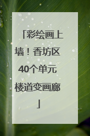 彩绘画上墙！香坊区40个单元楼道变画廊