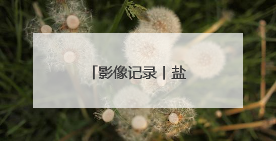 影像记录丨盐碱地上麦收记