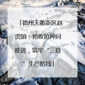 德州天衢新区赵虎镇：抢收抢种同推进，筑牢“三夏”生产防线
