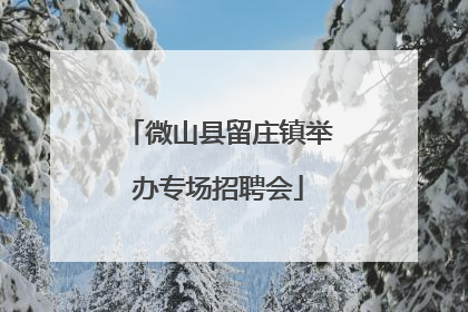 微山县留庄镇举办专场招聘会