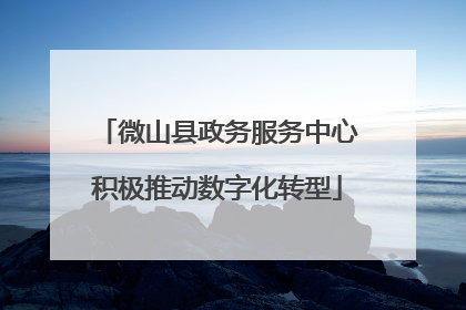 微山县政务服务中心积极推动数字化转型