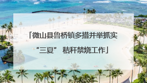 微山县鲁桥镇多措并举抓实 “三夏” 秸秆禁烧工作