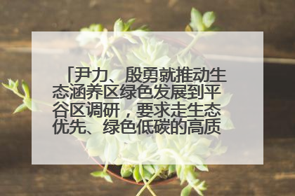 尹力、殷勇就推动生态涵养区绿色发展到平谷区调研，要求走生态优先、绿色低碳的高质量发展之路