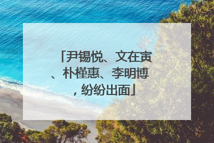尹锡悦、文在寅、朴槿惠、李明博，纷纷出面