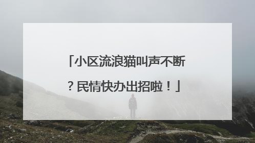 小区流浪猫叫声不断？民情快办出招啦！
