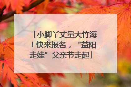 小脚丫丈量大竹海！快来报名，“益阳走娃”父亲节走起