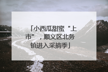 小西瓜甜蜜“上市”，顺义区北务镇进入采摘季